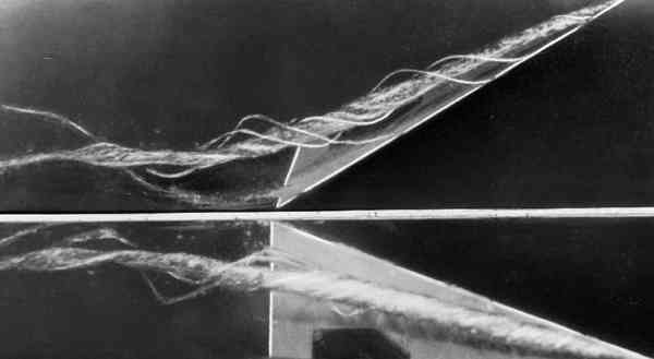 Визуализация носовых свободных вихрей тонкого треугольного крыла в гидроканале.