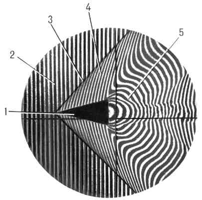 Интерференционная картина сверхзвукового потока, полученная интерферометром Маха—Цендера:1 — модель (круговой конус);2 — набегающий поток;3 — скачок уплотнения;4 — область конического течения;5 — аэродинамический след.