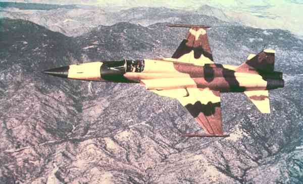 Истребитель F-5E «Тайгер» II.