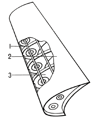 Конструкция предкрылка:1 — стрингер;2 — обшивка;3 — диафрагмы (носки нервюр).